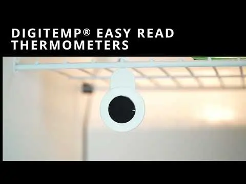 Digi-Temp video